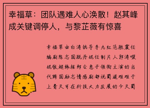 幸福草：团队遇难人心涣散！赵其峰成关键调停人，与黎芷薇有惊喜